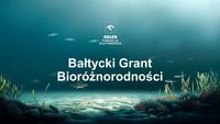 ORLEN_Ba__tycki_Grant_Bior____norodno__ci.jpg